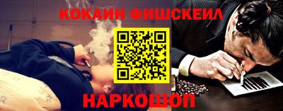 индика Рузаевка