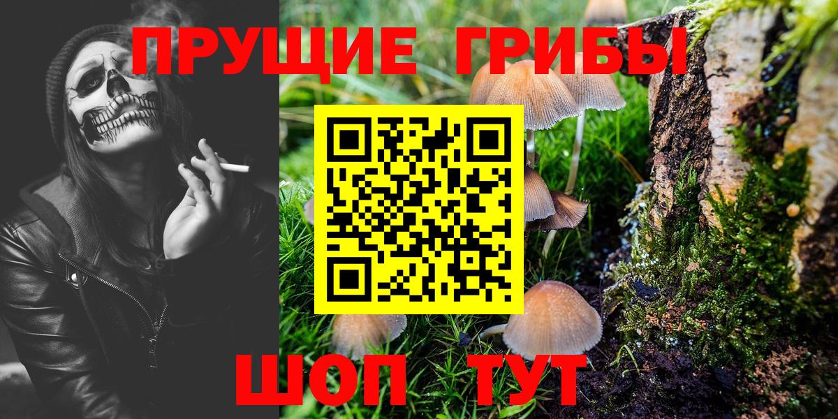Псилоцибиновые грибы Psilocybe Оренбург
